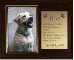 Photo 4"x6" Plaque | Custom Engraved