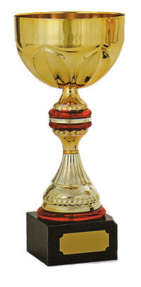 Gold cup from Awards2you