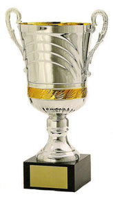 Silver trophy cup from Awards2you