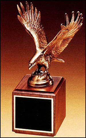 Bronze Eagle Award