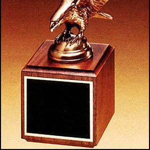Bronze Eagle Award