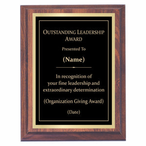 Leadership Premier Award Plaque