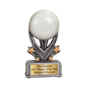 Volleyball Varsity Sport Resin
