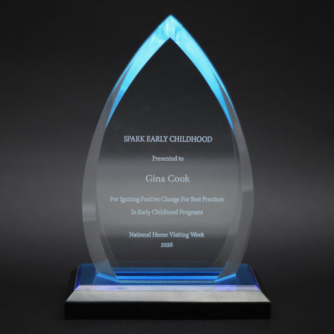 Blue Oval Acrylic Award