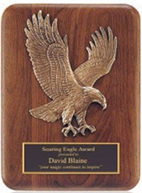 Eagle plaques by Awards2you.