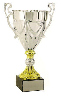 Silver cup from Awards2you
